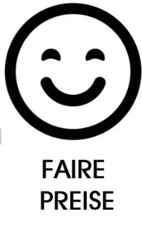 4-Kamineinsatz mit Garantie,Kamineinsatz Austauschpflicht,Kamineinsatz BimschV2